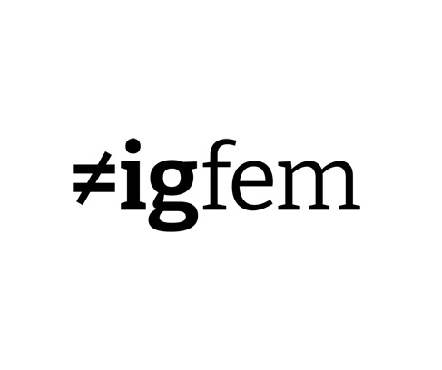 #igfem: Lesung, Angebote und Projekte